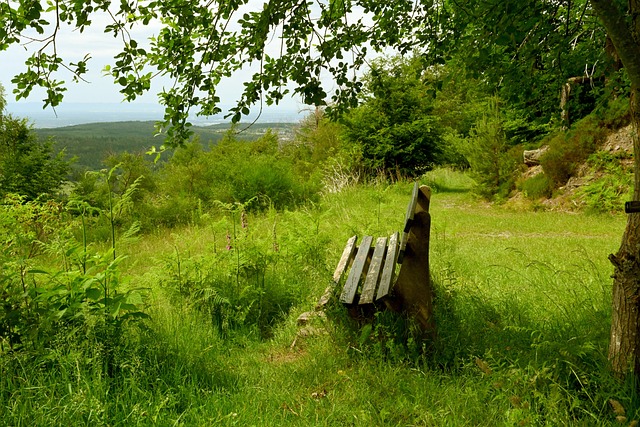 进一步提升 进一步提升