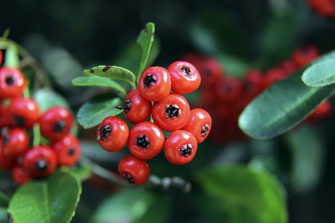 也影响到千 也影响到千