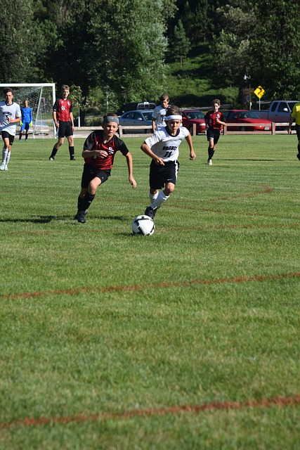 从队徽到品 从队徽到品