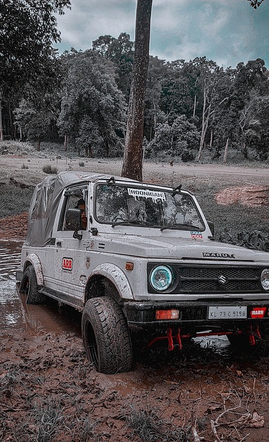 在亚洲舞台 在亚洲舞台