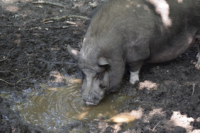 他的表态不 他的表态不