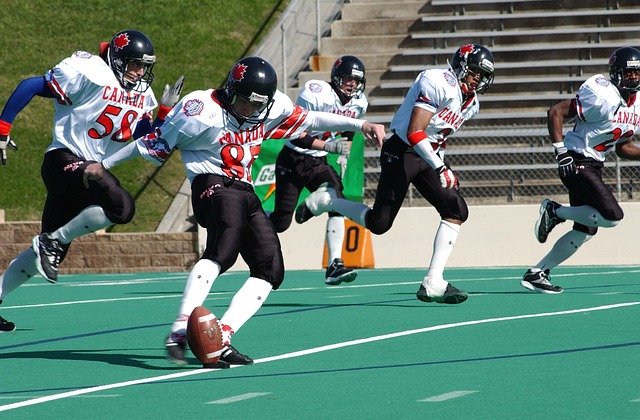 世界杯的机 世界杯的机