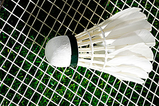 不仅如此 不仅如此